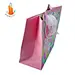 shopping luxury bag