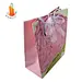 shopping luxury bag